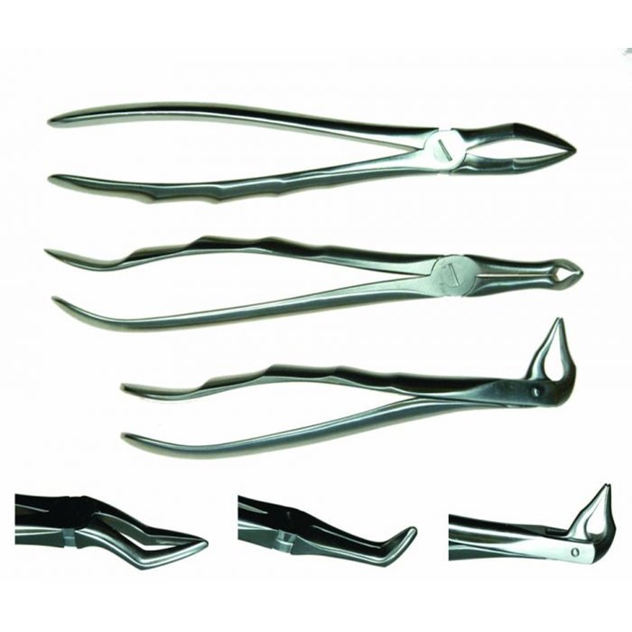 Veterinary Dental Extraction